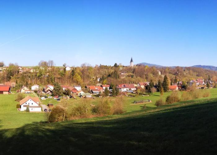 Unsere Ferienwohnung Stefan Im Riesengebirge! Dolni Lanov Exteriör bild